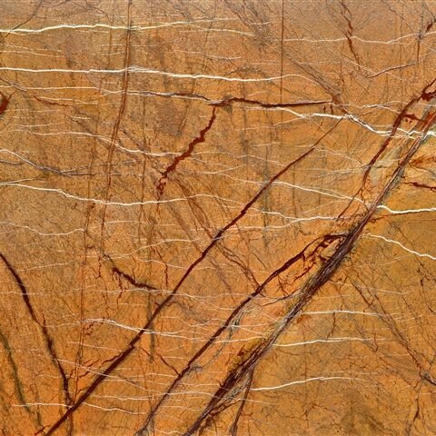 Rainforest Gold